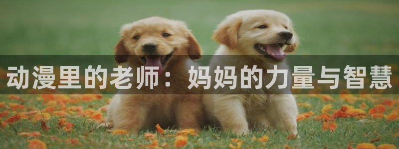 动漫之家在线播放