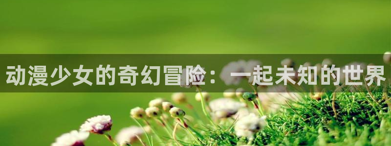 动漫之家无响应