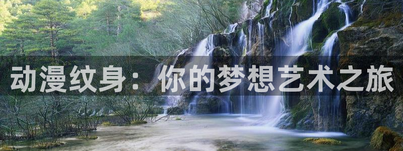 动漫之家安装不了：动漫纹身：你的梦想艺术之旅